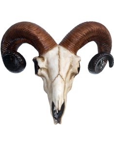 Rams Skull Figur med Veggfeste 33 cm