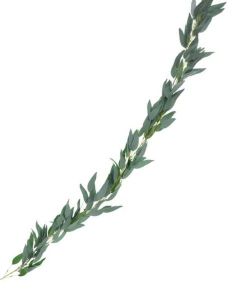 2 m Meter Bladranke med Piletreblader