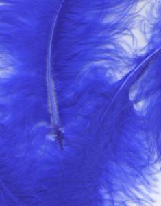 8 gram Royal Blå Dekorative Fjær 6-12 cm