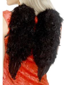 Svarte Englevinger 40x30 cm