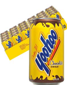 DATOVARE - 24 stk Yoohoo Chocolate Drink - Sjokoladedrikk 325 ml - Helt Brett (USA Import) (22.10.2025)