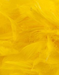 50 gram Gule Dekorative Fjær 6-12 cm