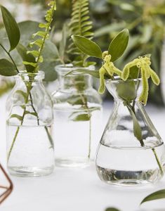 3 stk Små Vaser - Botanical Wedding