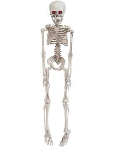 Ranglebeinet Skjelett med Lysende Øyne - 50 cm 