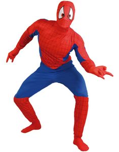 Spiderman Inspirert - Superhelt Herrekostyme