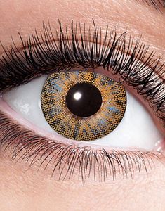 STYRKELINSER Brun Natural Fargelinser