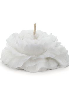 4 stk Hvite Flytende Stearinlys Formet som Pioner