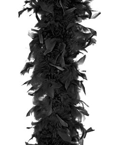 Svart Fjærboa 180 cm